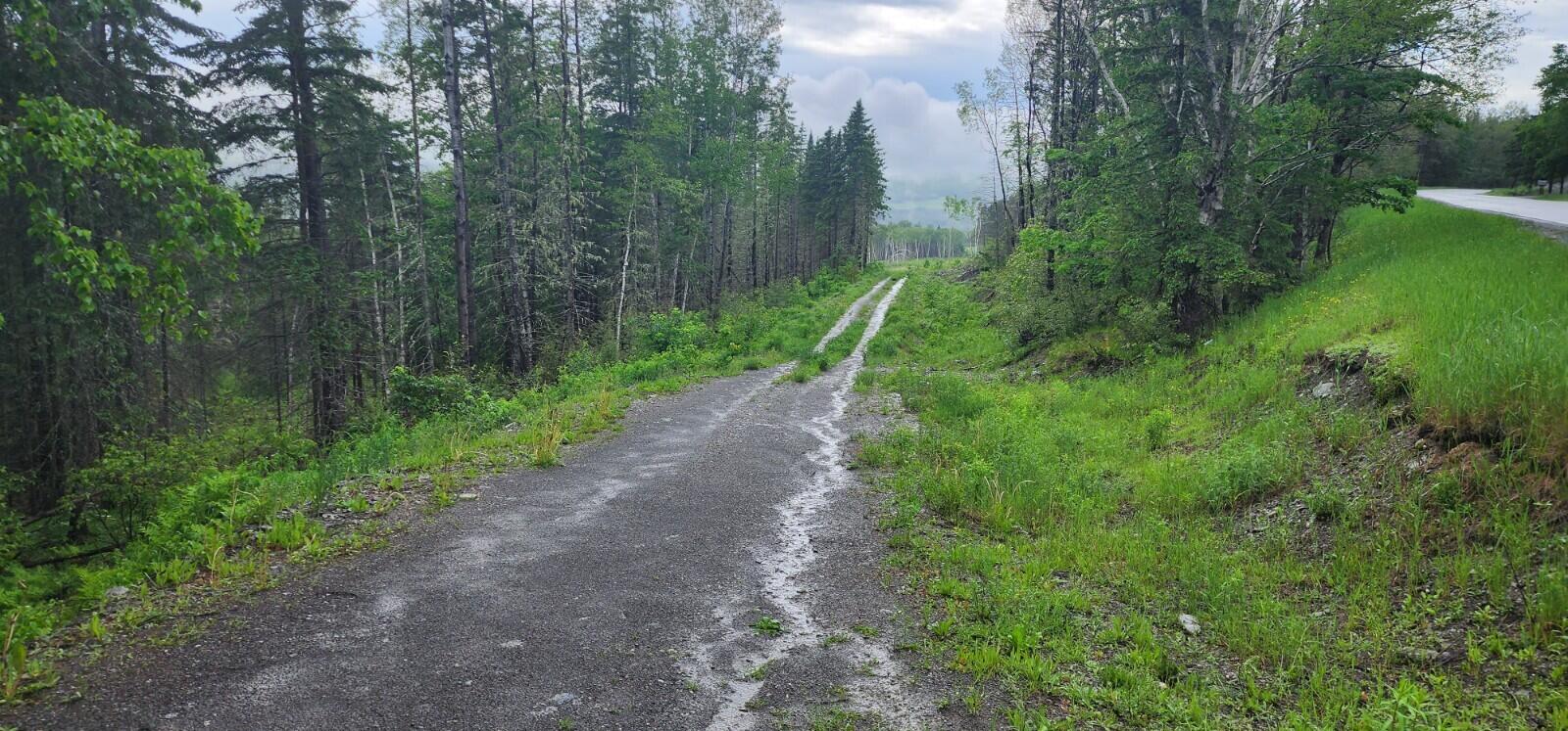 Off Strip Road Wallagrass, ME 04781 - Photo 9 of 11 20230615_161644