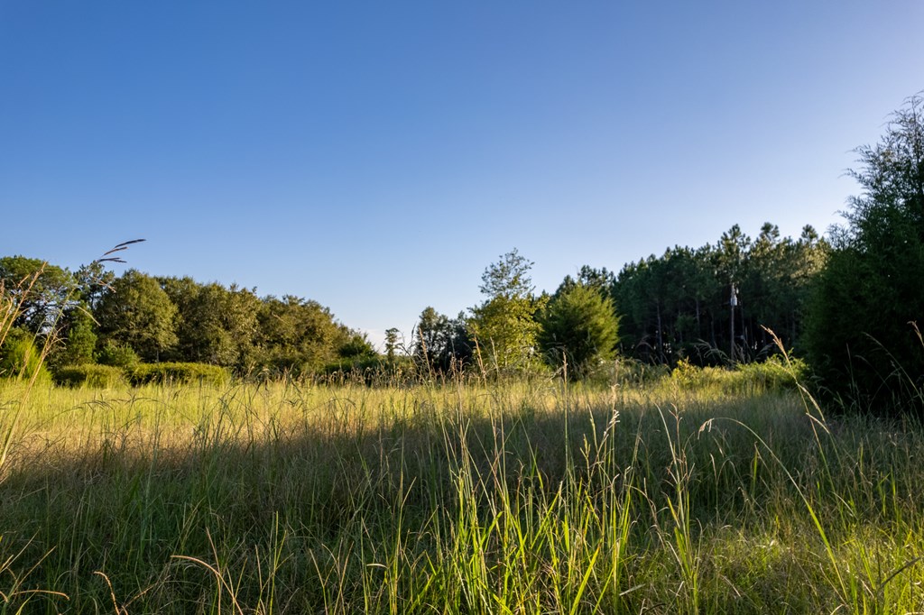 2226 Randall Wade Road Headland, AL 36345 - Photo 43 of 60