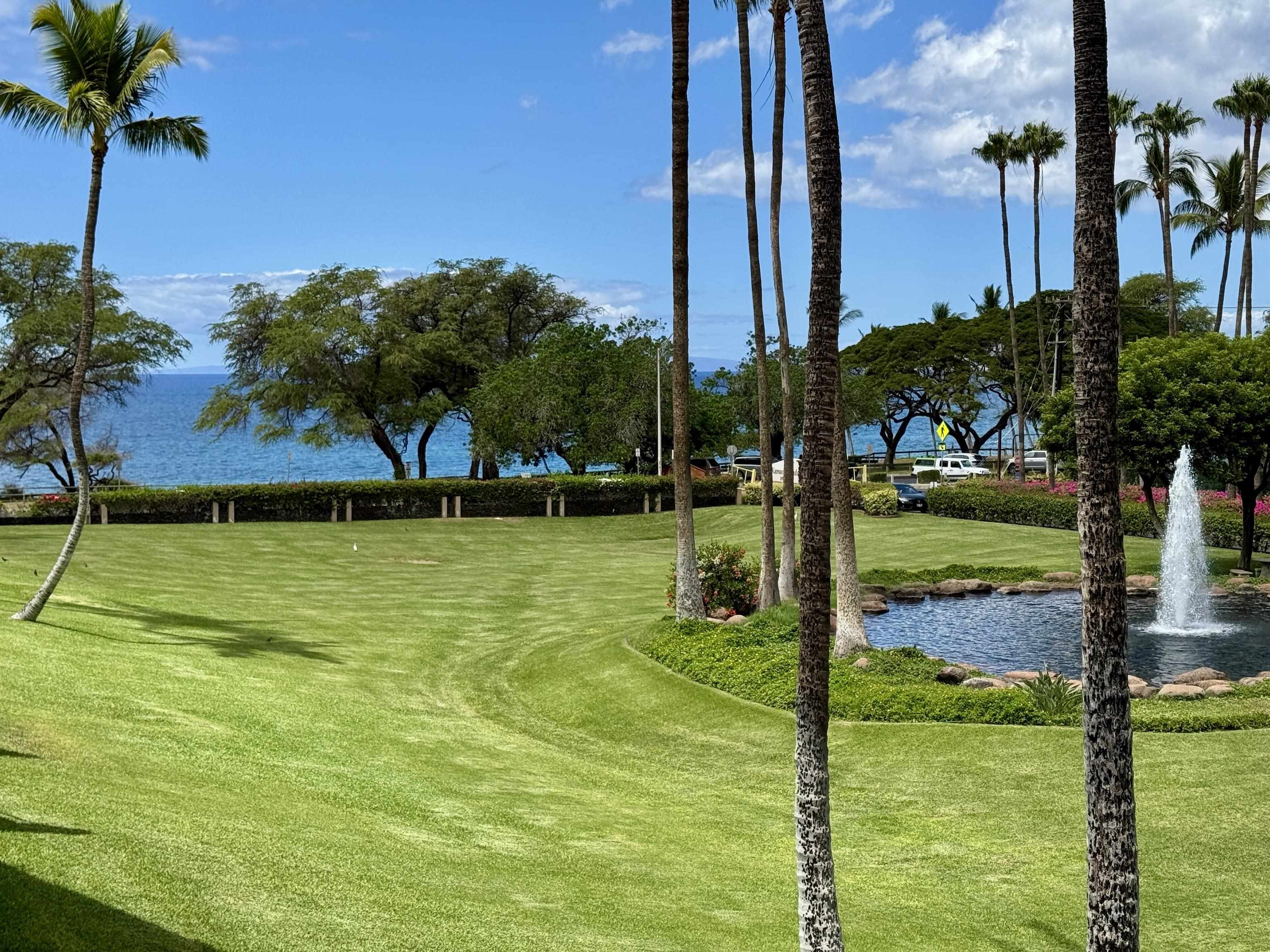 2695 South Kihei Road, Unit 10213 Kihei, HI 96753 - Photo 2 of 37 a view of a garden with a tree