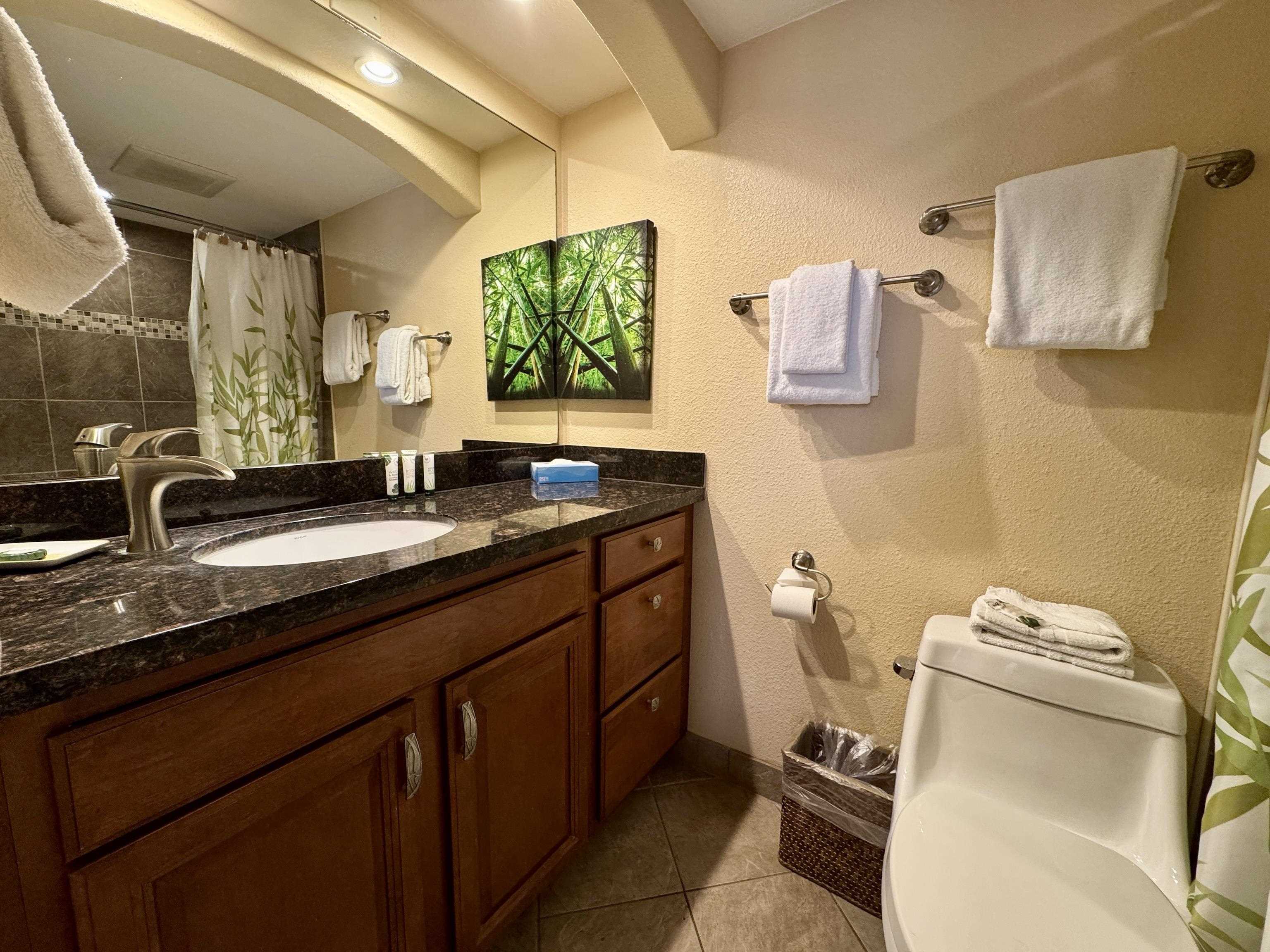 2695 South Kihei Road, Unit 10213 Kihei, HI 96753 - Photo 25 of 37 a bathroom with a double vanity sink and a toilet
