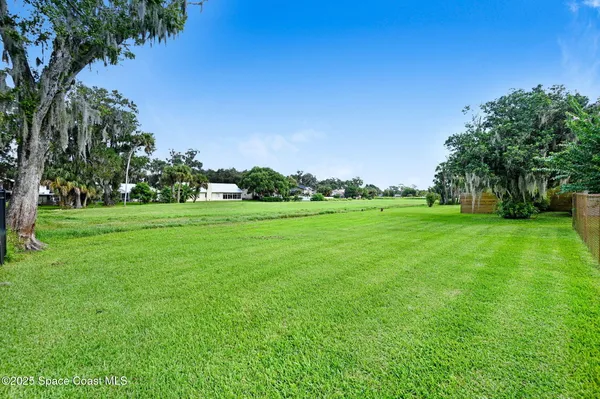 a view of a grassy field with trees