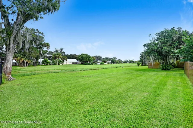 a view of a grassy field with trees