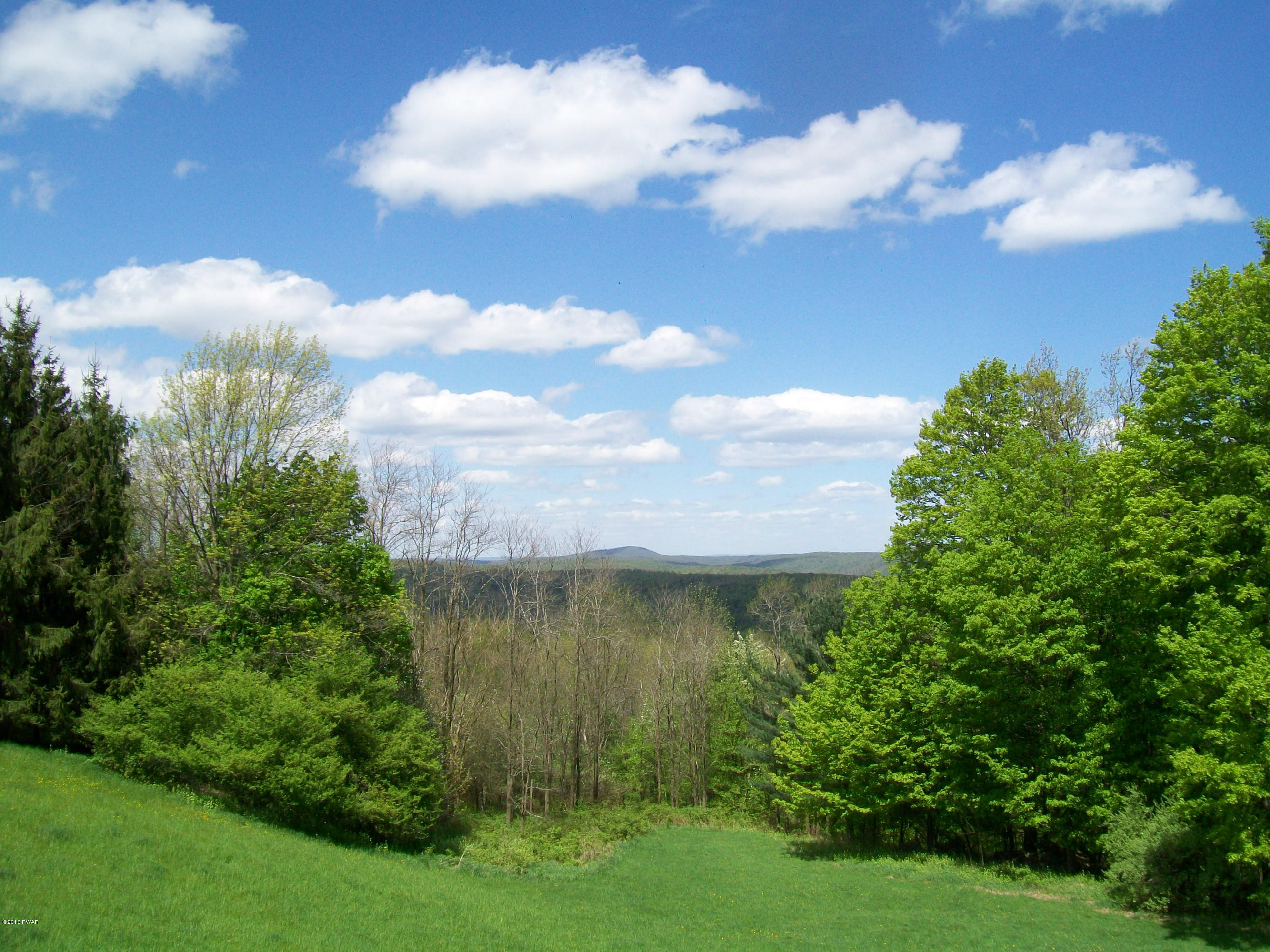Dyberry Hts Road Honesdale, PA 18431 - Photo 4 of 8