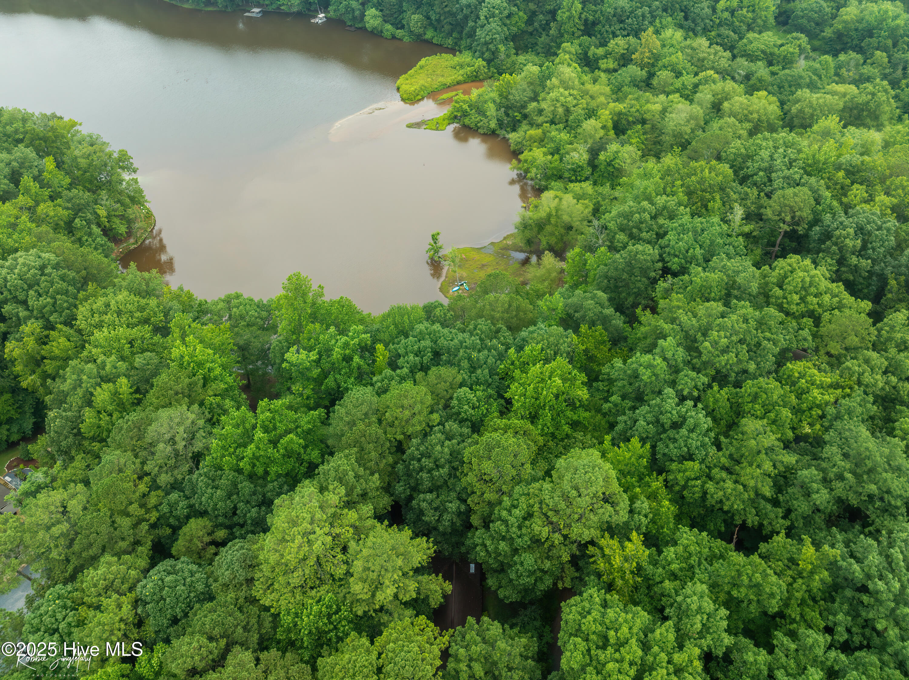 299 Rankin Lake Road Ellerbe, NC 28338 - Photo 49 of 61 RS 1 DJI_0542