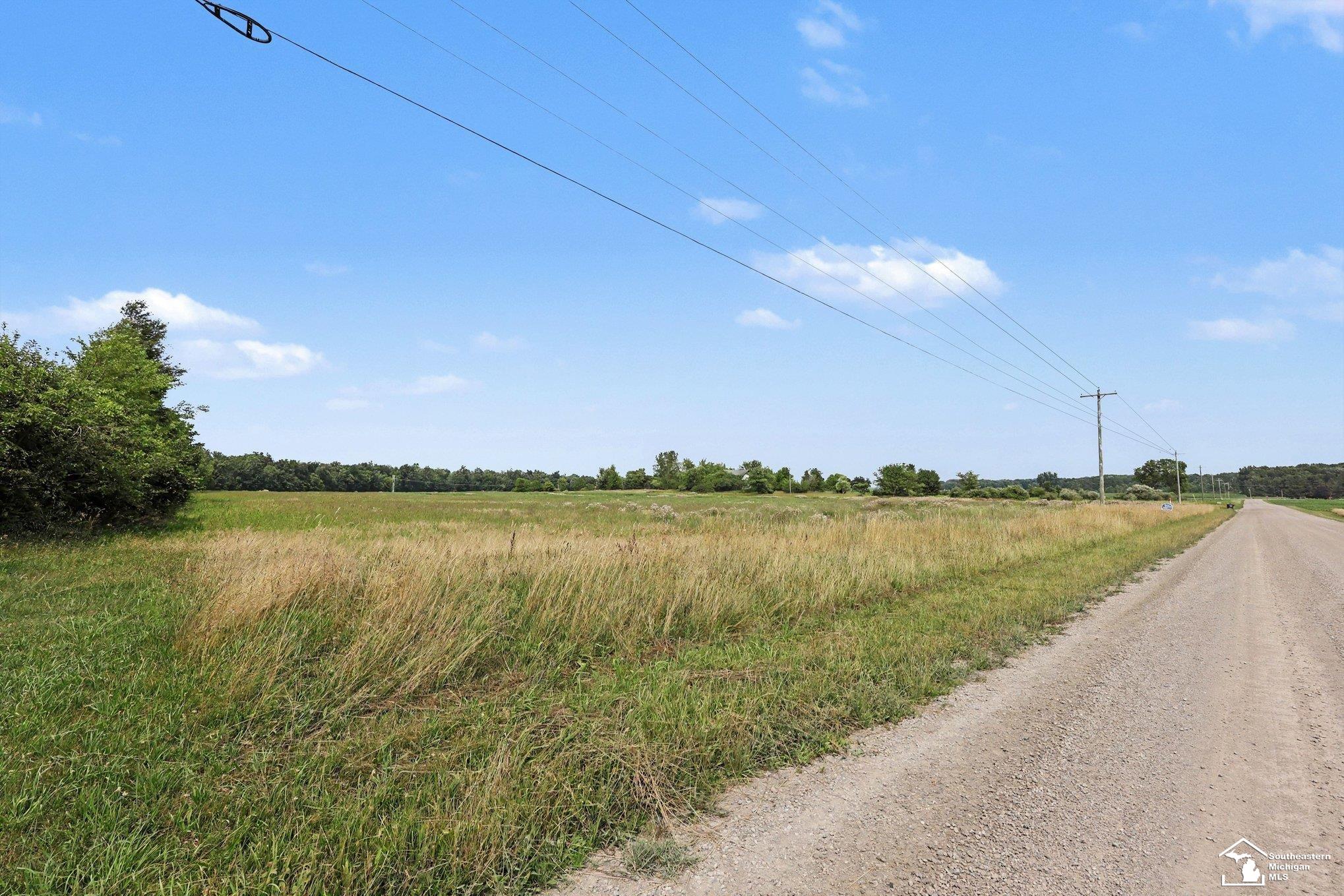 4000 Tomer Road Adrian, MI 49221 - Photo 11 of 19