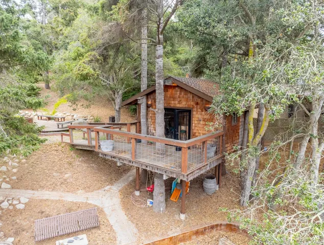 a view of a tree with big yard