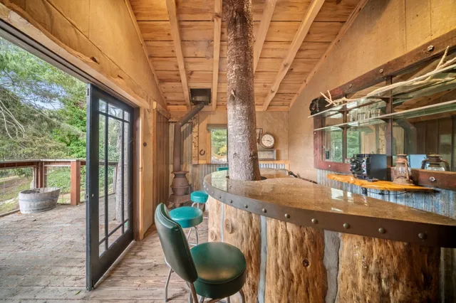 a view of a tree with a yard