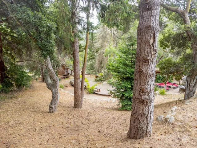 a wooden house with a large tree in front of it