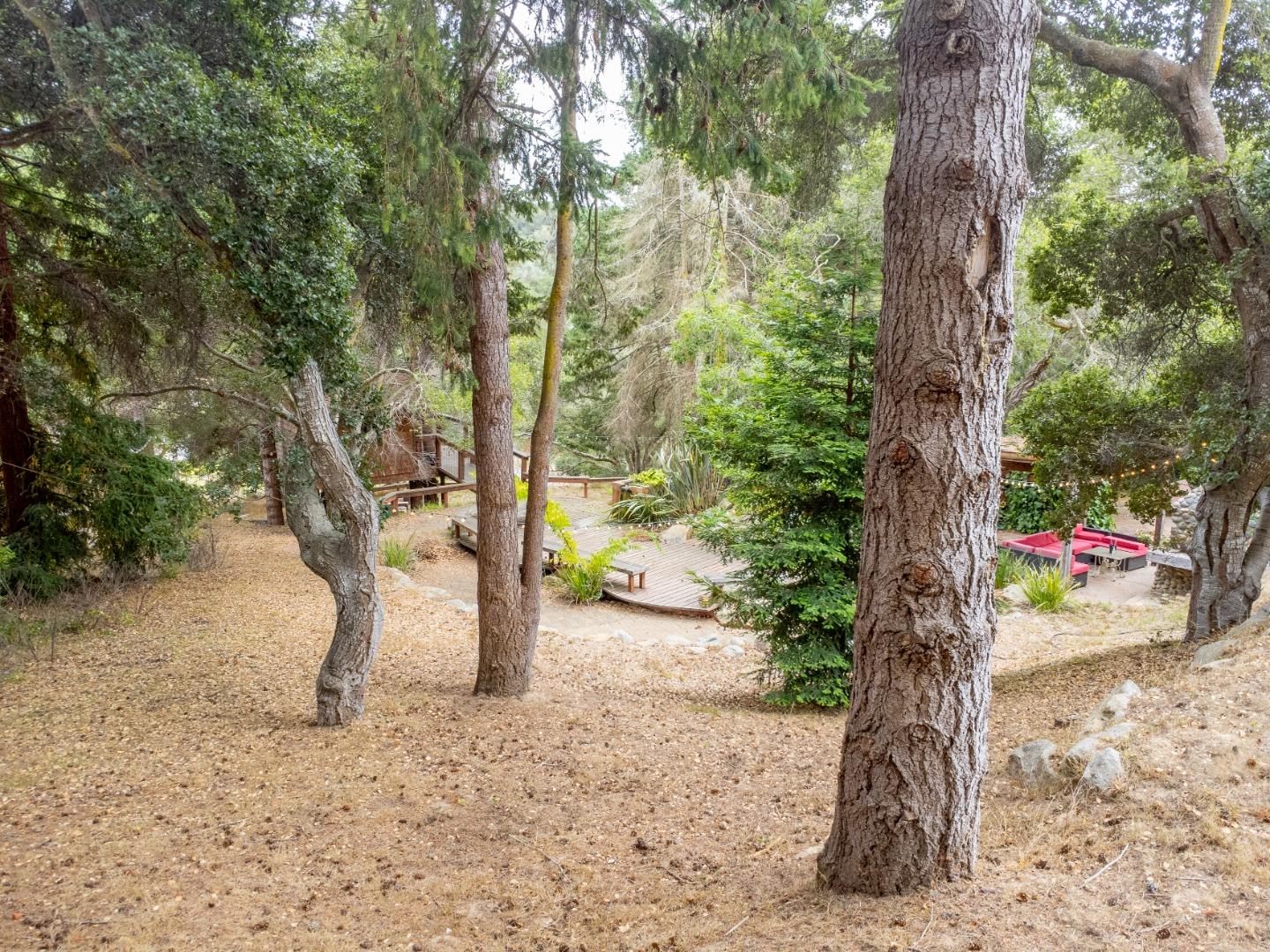 17551 Pond Derosa Lane Prunedale, CA 93907 - Photo 55 of 63 a picture of trees