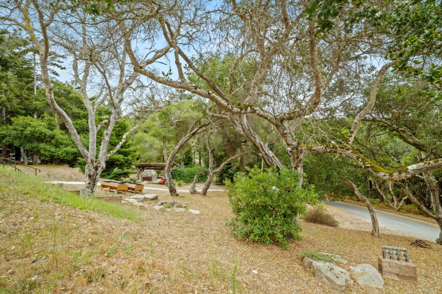 17551 Pond Derosa Lane Prunedale, CA 93907 - Photo 57 of 63 a view of yard with green space and trees