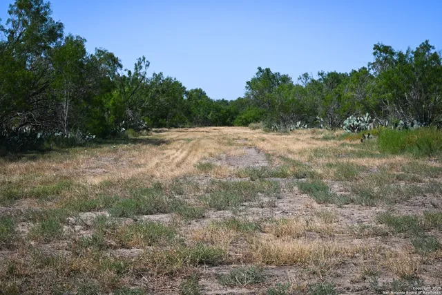 a view of plant in the background
