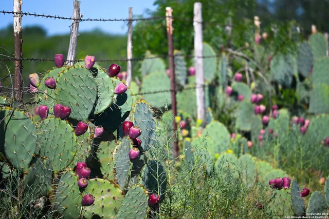 a view of a balcony with an outdoor space