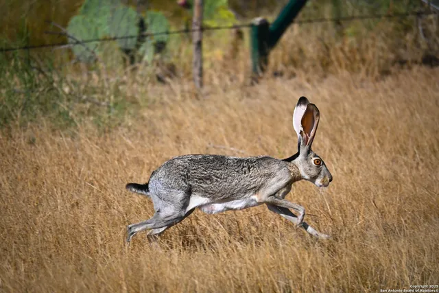 a view of lake from a yard