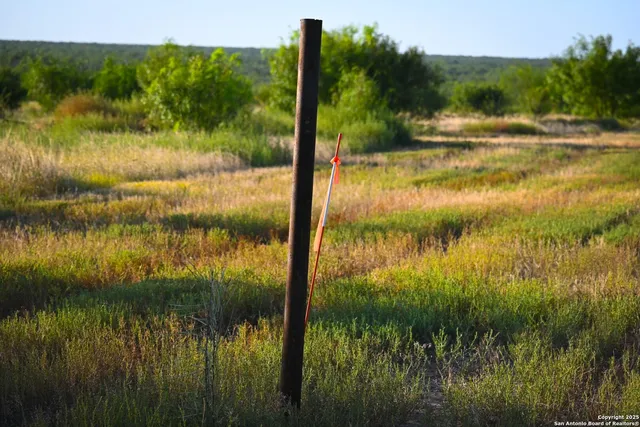 a view of backyard with wooden fence