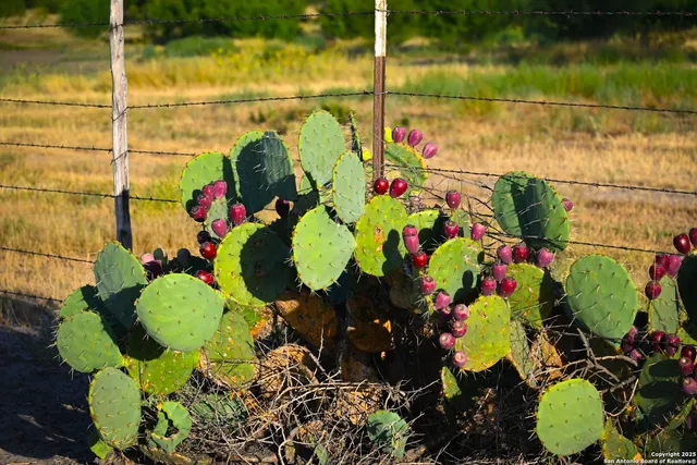 an aerial view of a houses with a yard and lake view