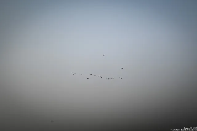 a view of a field with an ocean