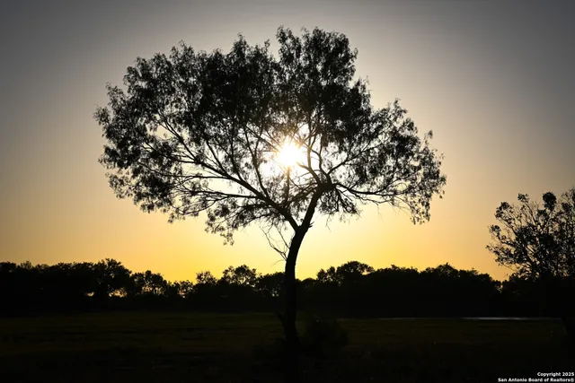 a view of a lake with beach and mountain in the back