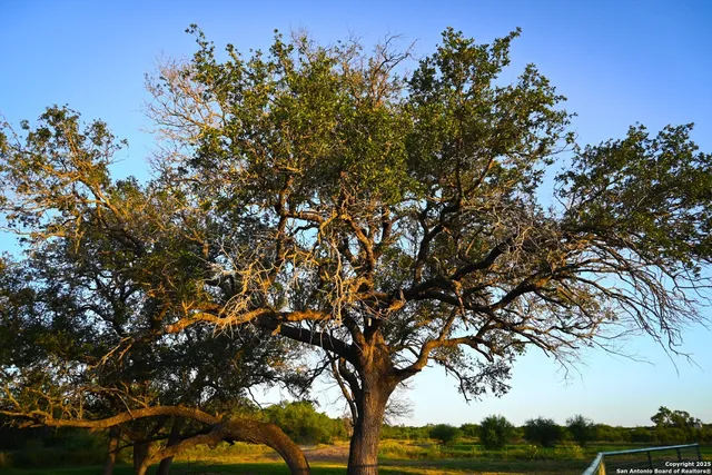 a view of a city and ocean view