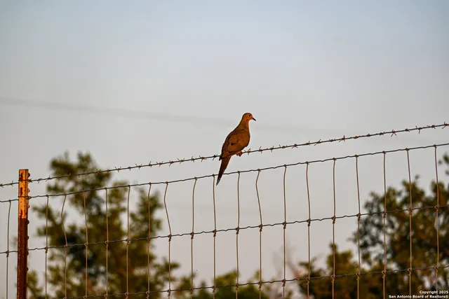an aerial view of residential house with yard and trees all around