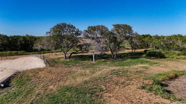 a view of a park with large trees
