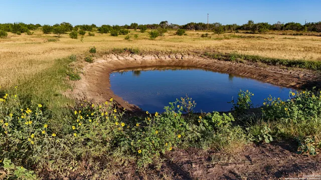 $89,900 | Lot 24 County Road 2500, Bigfoot, TX 78005