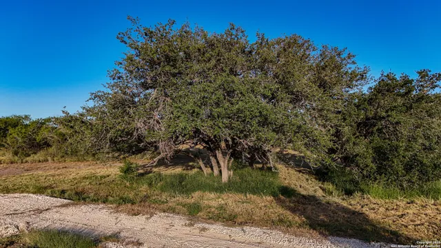 $89,900 | Lot 24 County Road 2500, Bigfoot, TX 78005