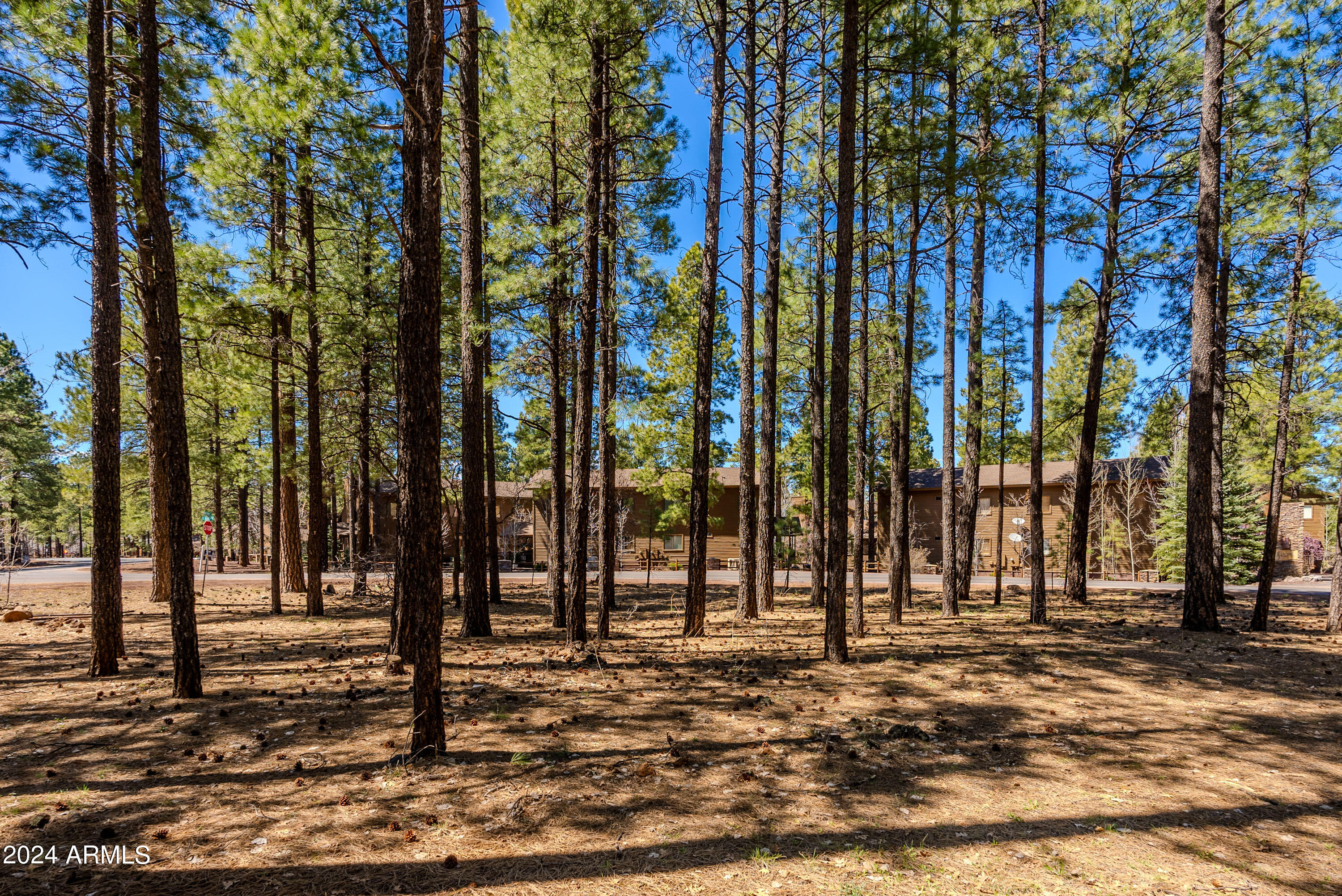 4571 Sky Hi Road Pinetop, AZ 85935 - Photo 21 of 23 4571 Sky Hi-21