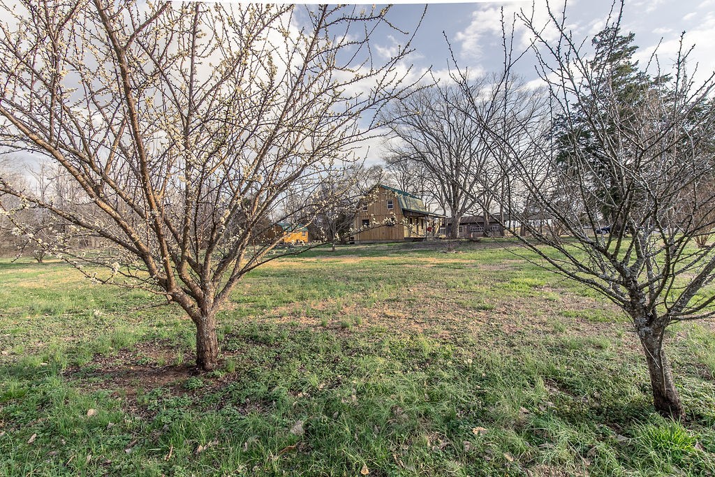 14025 Versailles Road Rockvale, TN 37153 - Photo 27 of 43