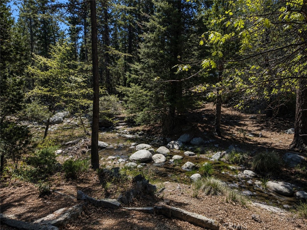 52915 Forest Rte 4S02 Idyllwild, CA 92549 - Photo 24 of 30