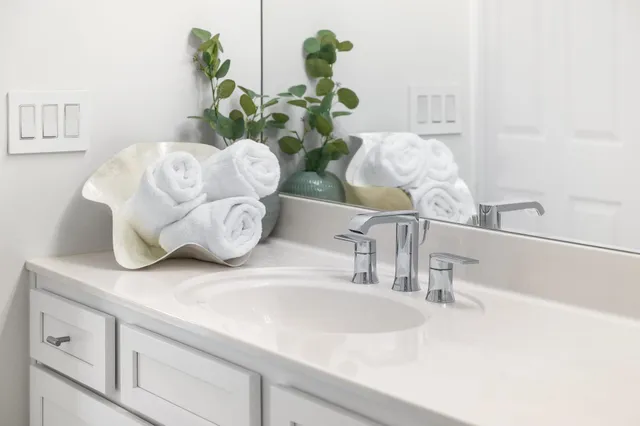 a bathroom with a double vanity sink mirror and shower