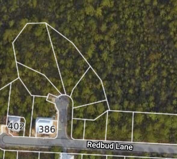 Lot 45 Sweet Gum Loop Inlet Beach Inlet Beach, FL 32461 - Photo 1 of 1 9A3D3824-DC95-4487-BADA-1903C290D97B