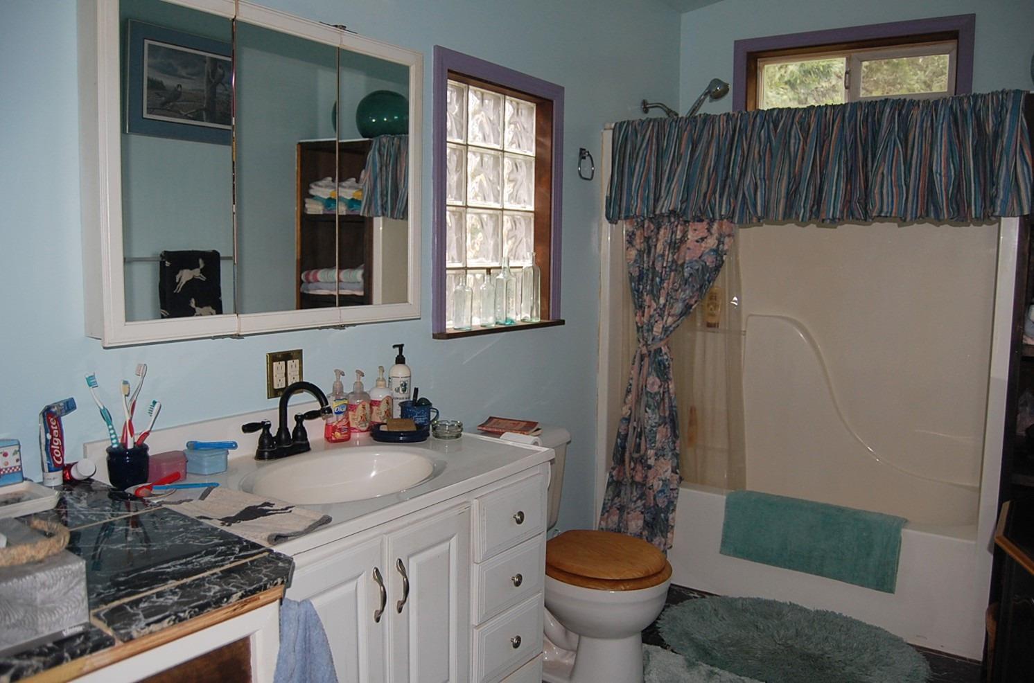 310 Page Creek Road Cave Junction, OR 97523 - Photo 11 of 31 Bathroom 1 single vanity and tub shower