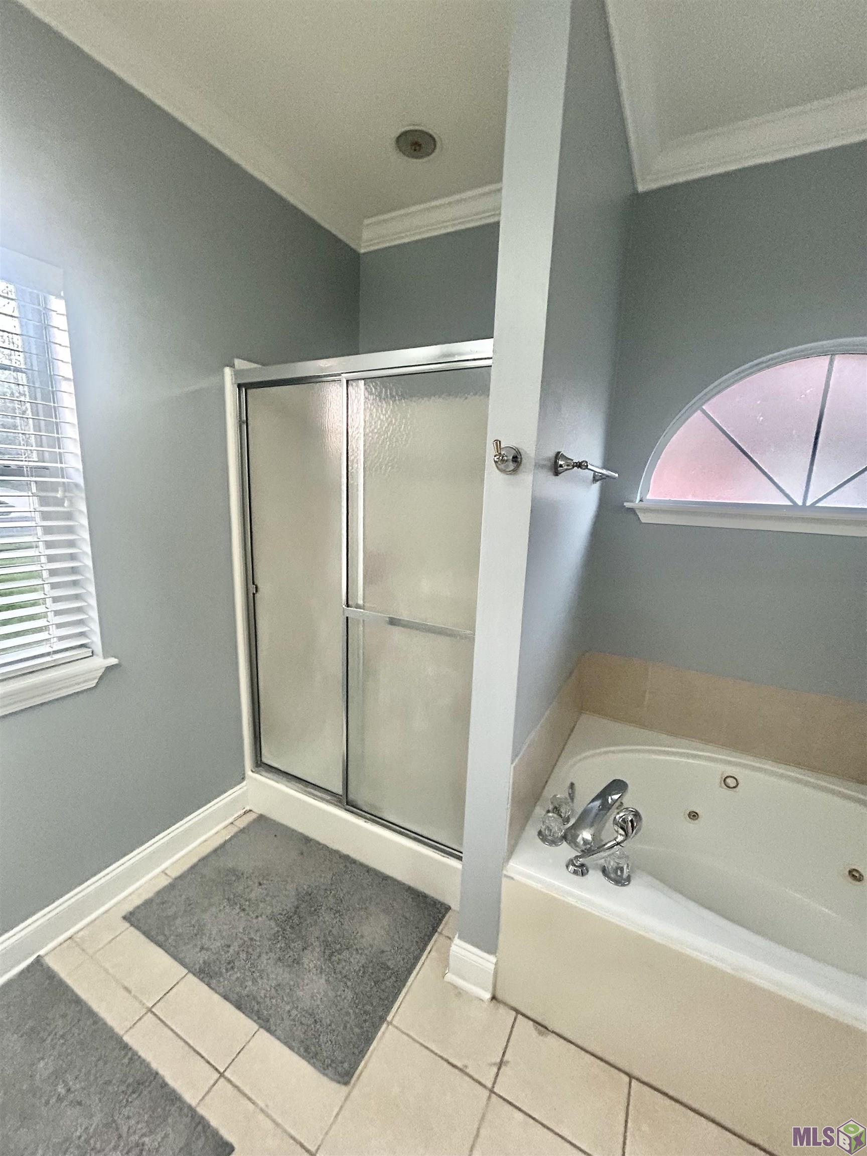 5351 Herridge Drive St. George, LA 70817 - Photo 13 of 20