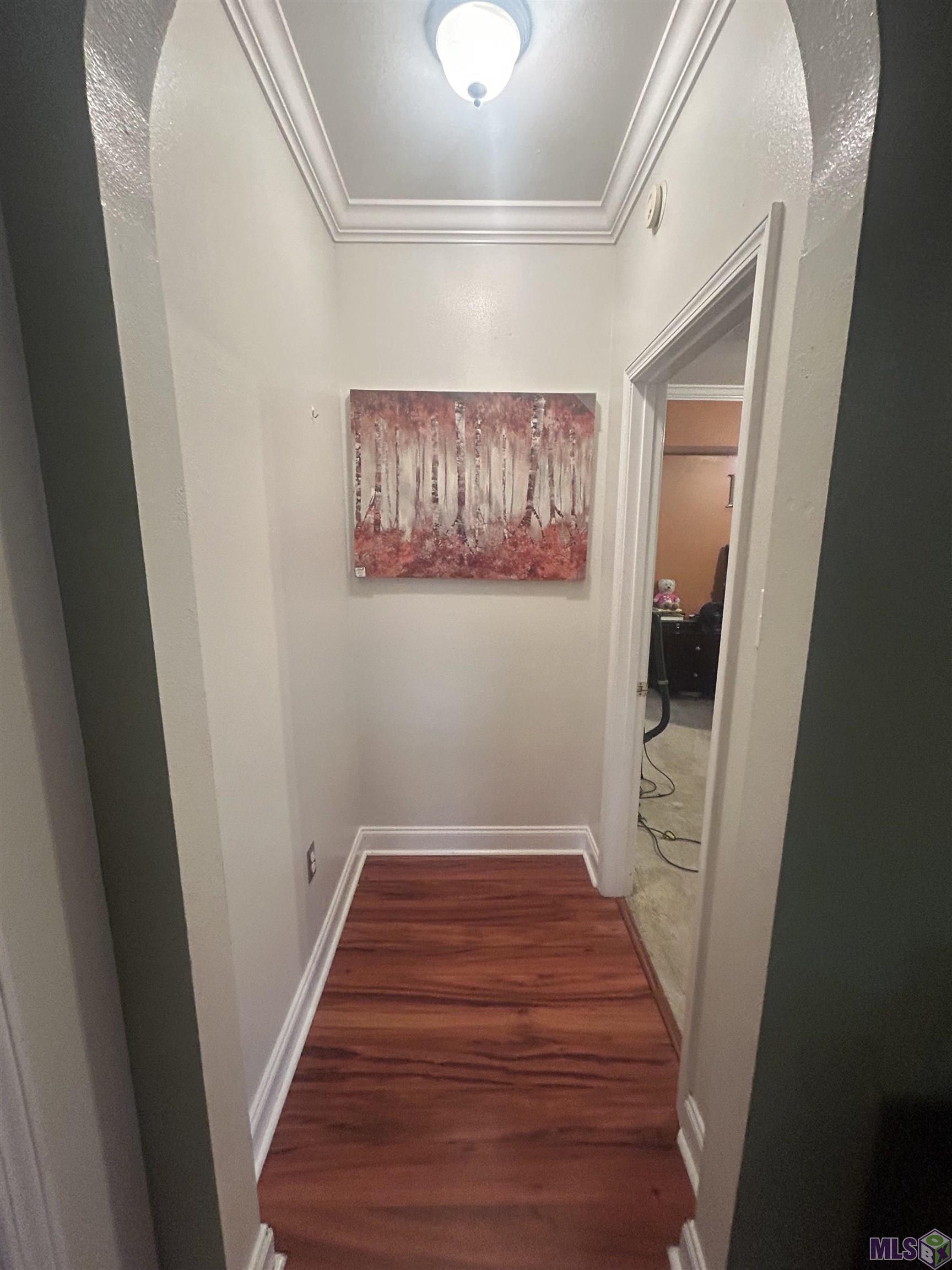 5351 Herridge Drive St. George, LA 70817 - Photo 9 of 20