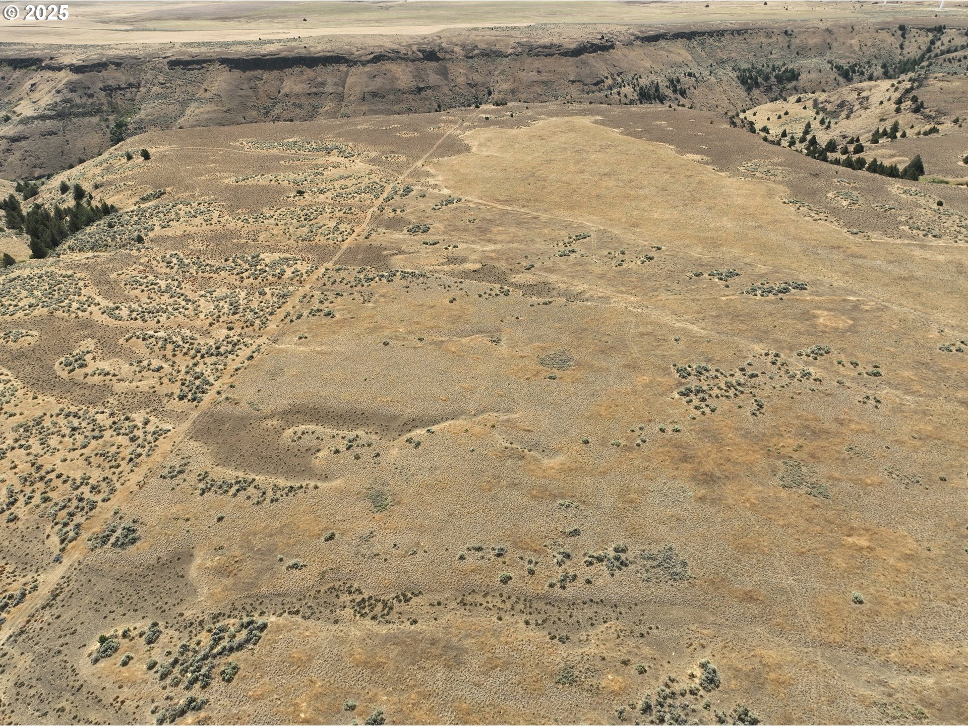 Crider Valley Road Bickleton, WA 99322 - Photo 31 of 48 a view of beach and small yard