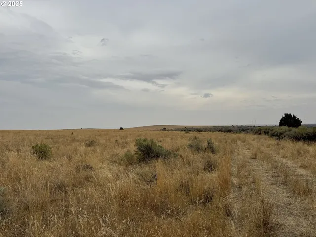 $850,000 | Crider Valley Road, Bickleton, WA 99322