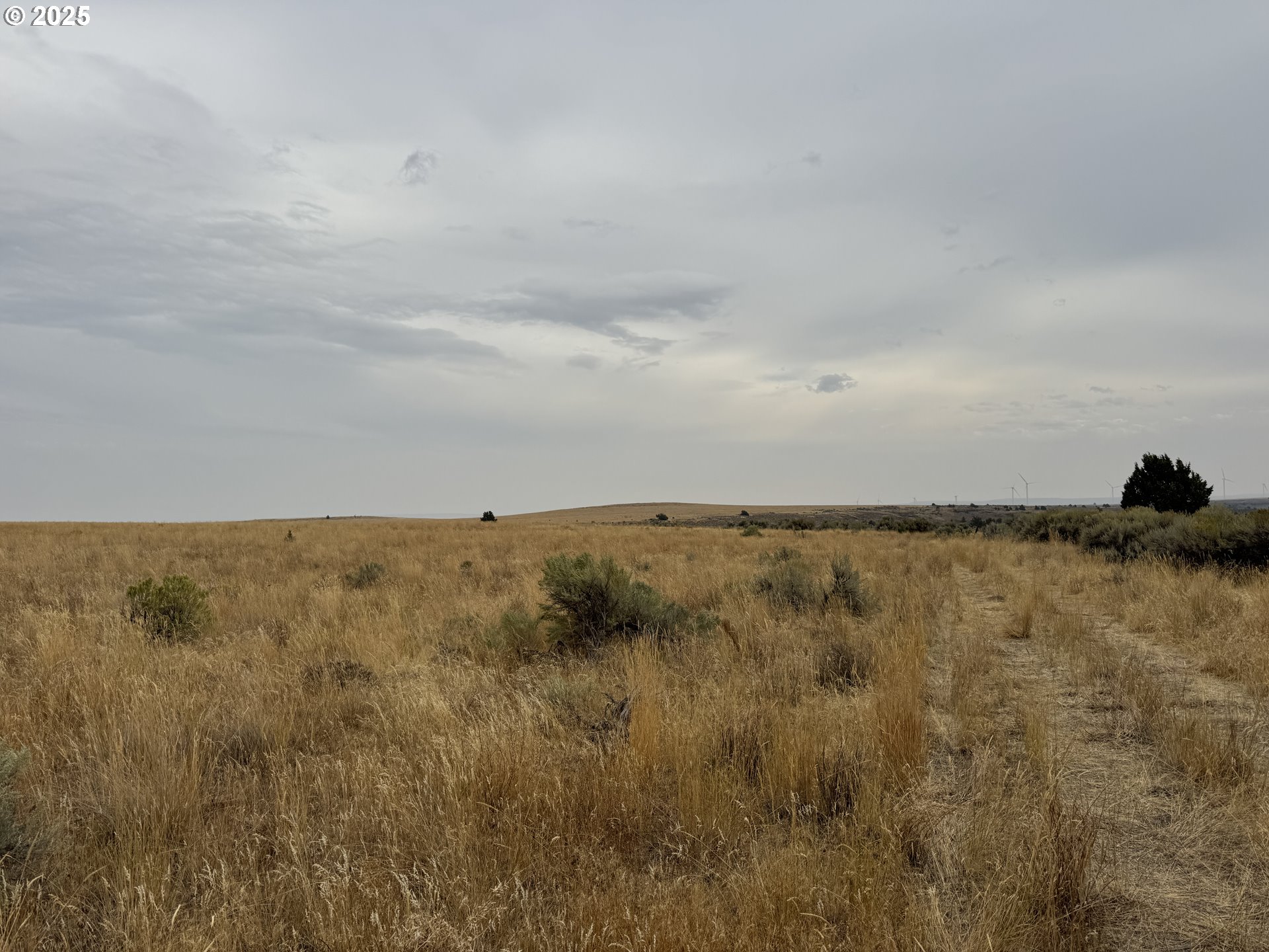 Crider Valley Road Bickleton, WA 99322 - Photo 36 of 48