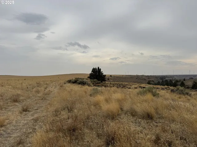 $850,000 | Crider Valley Road, Bickleton, WA 99322