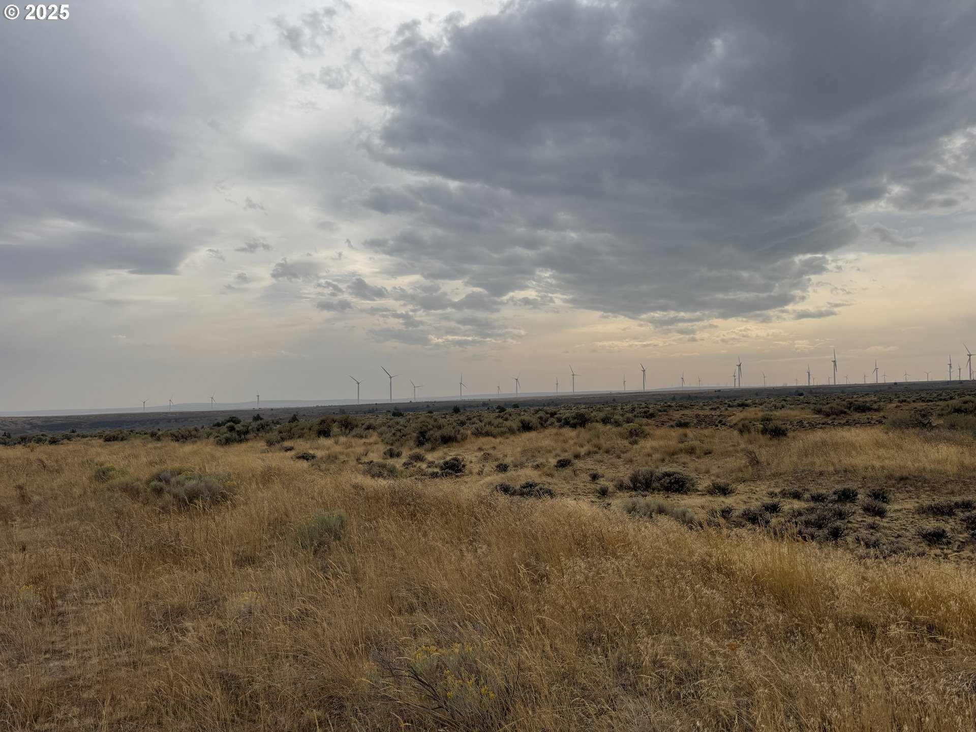 Crider Valley Road Bickleton, WA 99322 - Photo 41 of 48