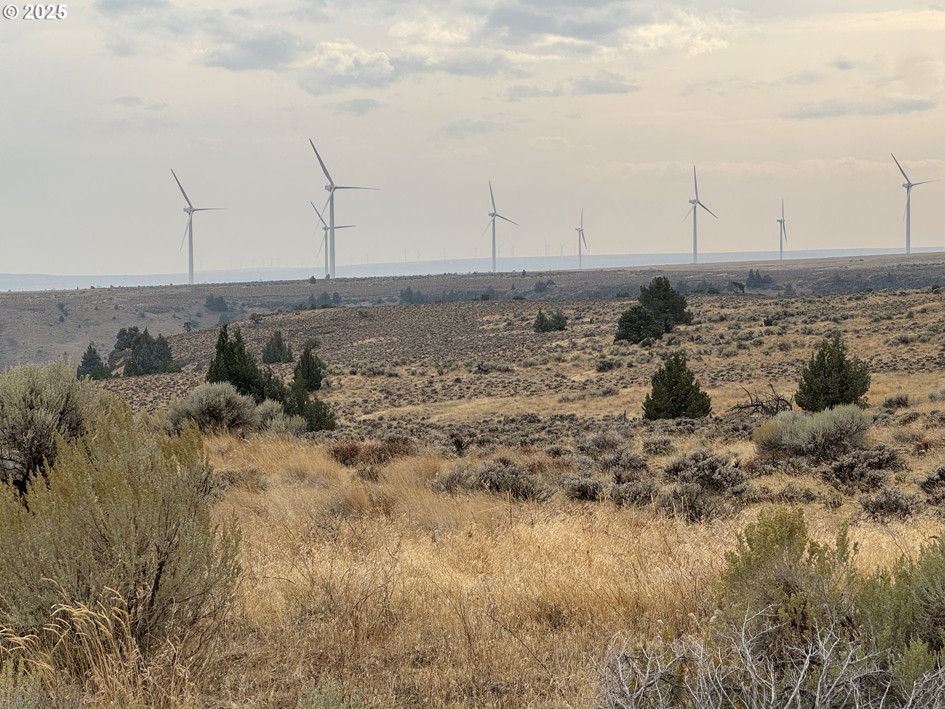Crider Valley Road Bickleton, WA 99322 - Photo 42 of 48 a view of a dry field