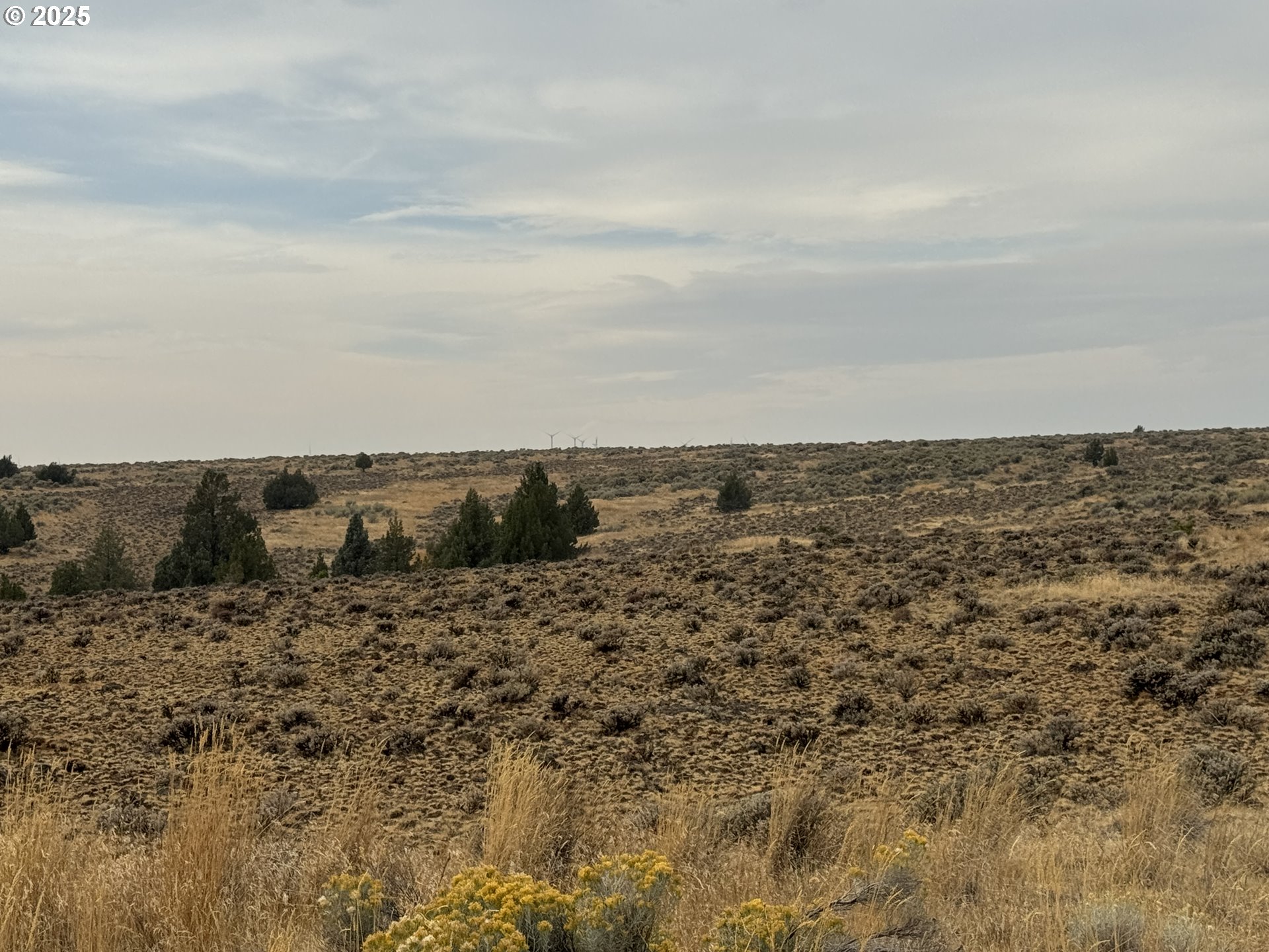 Crider Valley Road Bickleton, WA 99322 - Photo 43 of 48 a view of ocean and mountain