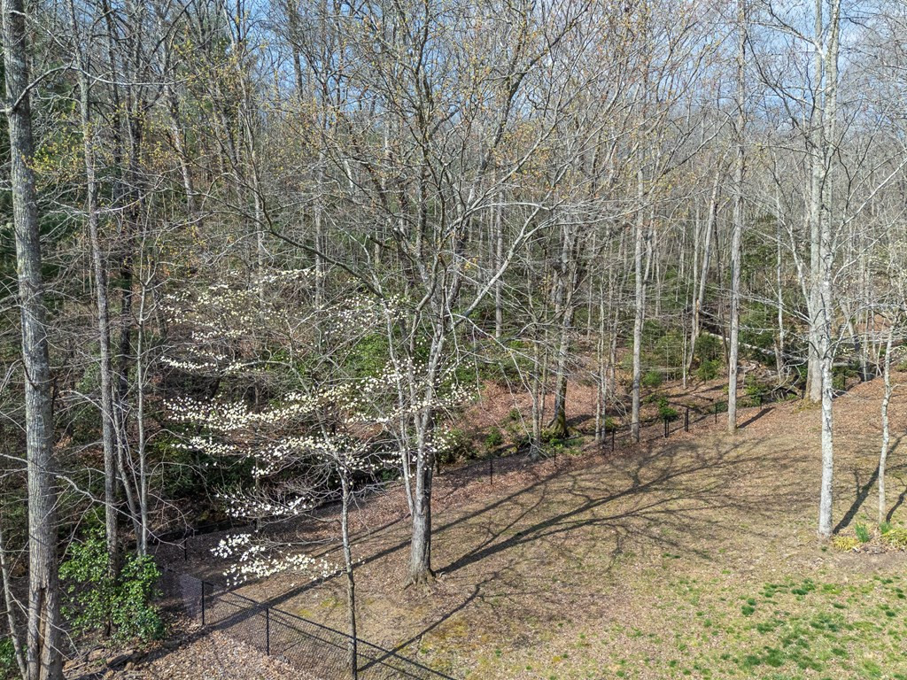 1220 Burger Road Murphy, NC 28906 - Photo 87 of 96 Gallery Image 87