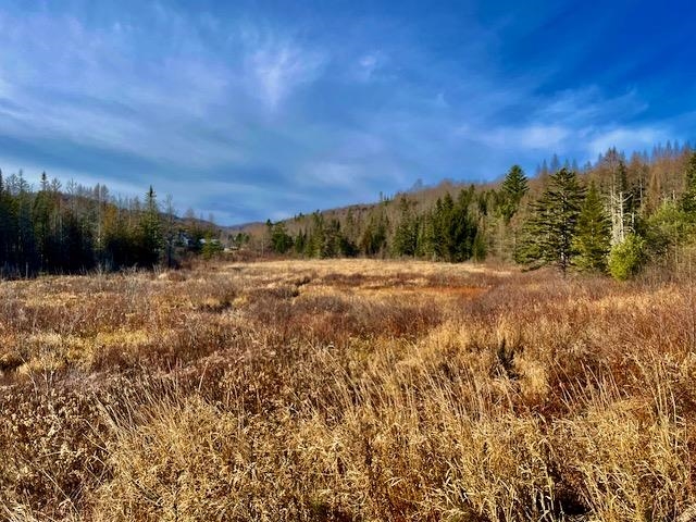 25 Clement Road East Barre, VT 05649 - Photo 25 of 25