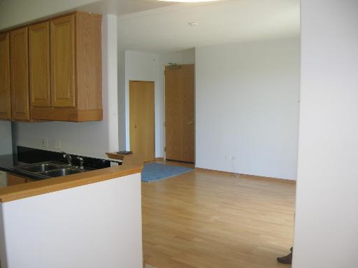 1731 Pavilion Way, Unit 408 Park Ridge, IL 60068 - Photo 11 of 16 a kitchen with a stove and a cabinet