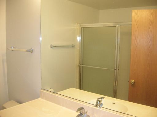 1731 Pavilion Way, Unit 408 Park Ridge, IL 60068 - Photo 12 of 16 a bathroom with a shower