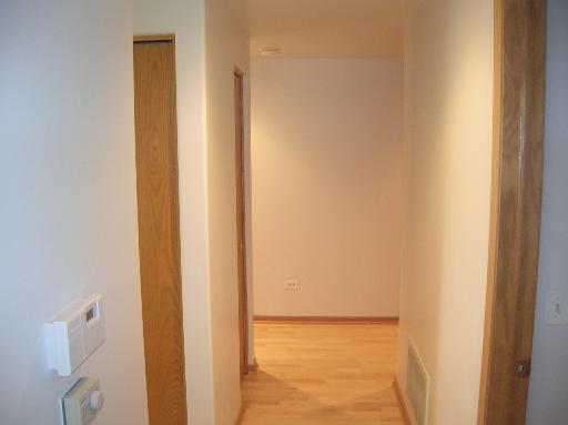 1731 Pavilion Way, Unit 408 Park Ridge, IL 60068 - Photo 14 of 16 a view of closet