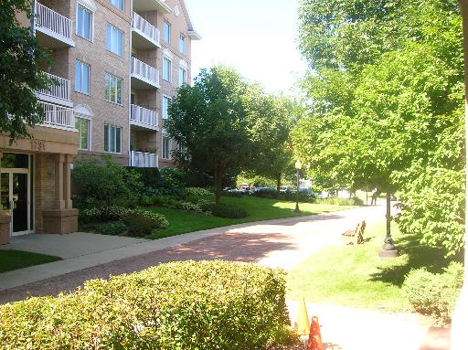 1731 Pavilion Way, Unit 408 Park Ridge, IL 60068 - Photo 2 of 16 a view of a pathway with a yard