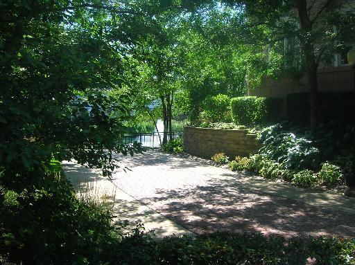 1731 Pavilion Way, Unit 408 Park Ridge, IL 60068 - Photo 3 of 16 a view of a tree in the middle of a yard