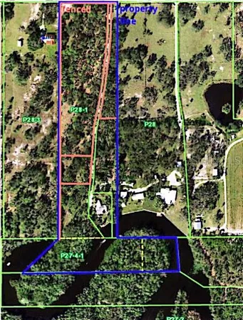 a view of a yard with palm trees