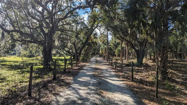 a view of a lake with a tree